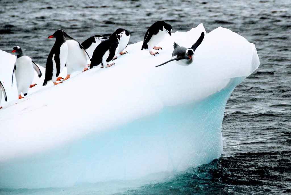 How small changes can make a big difference: tipping points in Antarctica