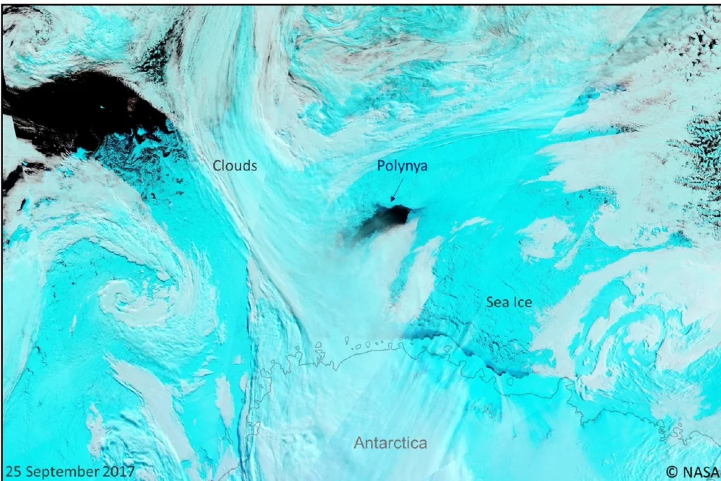 Atmospheric Rivers: A blanket for Antarctic winter sea ice