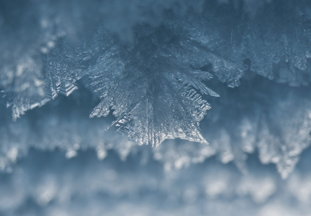 Cryo Careers: Should I stay, or should I go? Non-linear career paths