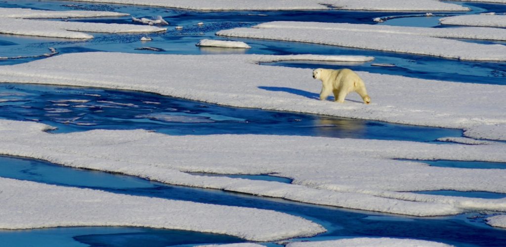 Will the Arctic be ice free earlier than previously thought?