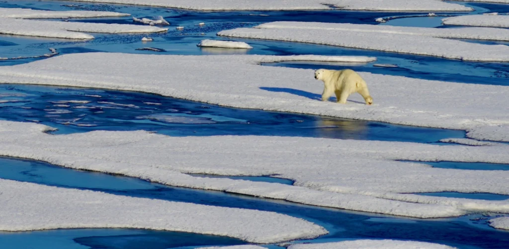 Will the Arctic be ice free earlier than previously thought?