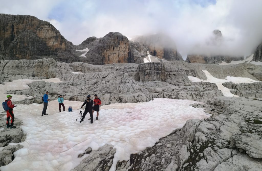 Cryo-Adventures – Hunting snow algae in the Alps