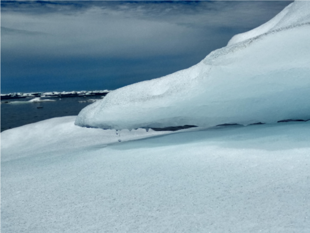 The Polar Amplifier