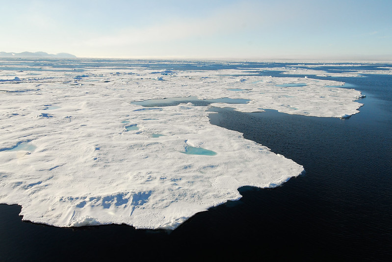 Winds and Antarctic sea-ice cover: what is the role of human activities?