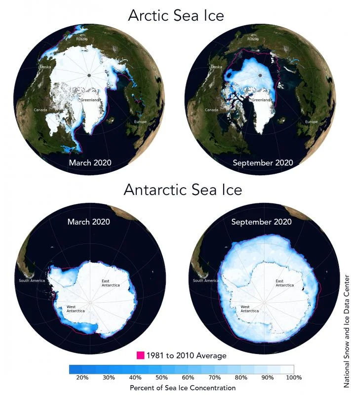 Did you know the differences between Arctic and Antarctic sea ice?