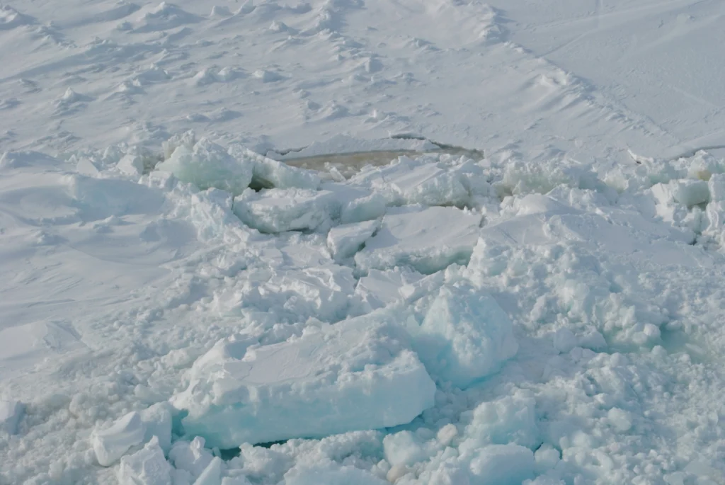 Highlighted Paper – Welcome to the microbial BBQ in Arctic Sea ice