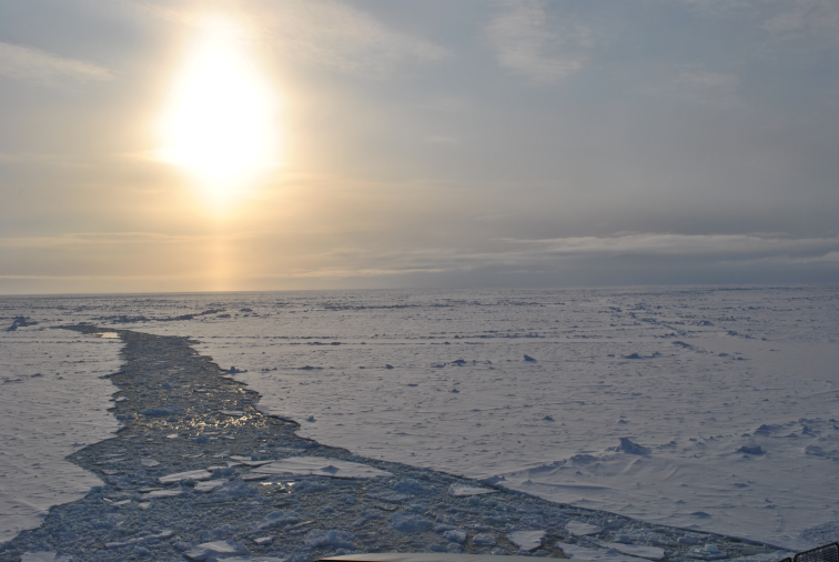Highlighted Paper – The ice factories of the Arctic Ocean