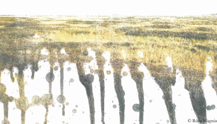 Fostering connections with frozen landscapes