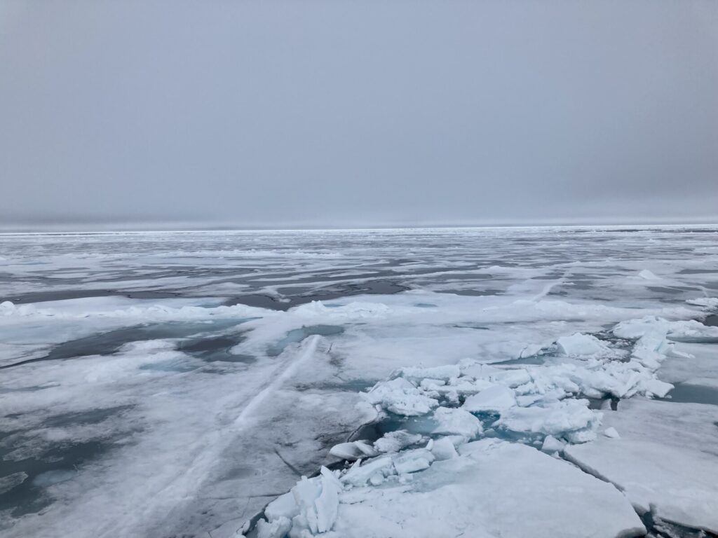 Did you know there’s a (relatively new) treaty for the Central Arctic Ocean?
