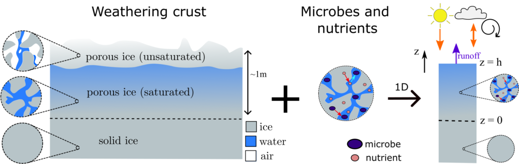 A graphic of weathering crust on an ice sheet (a cross section view) on the left, and on the right is a brief schematic of how the microbes figure into the ice sheet as represented by simple drawings of pore space, melt, and physics equations