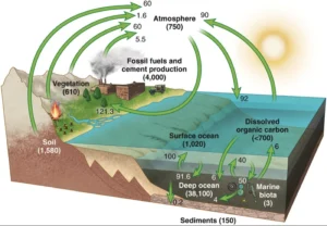 The goal is to model these complex systems at the present time but also into the recent and geologic past and into the future. This gets complicated quickly with all of the factors involved.