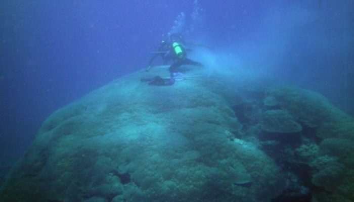 Corals, the thermometers of the past!