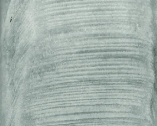 What speleothems can tell about the past climates !