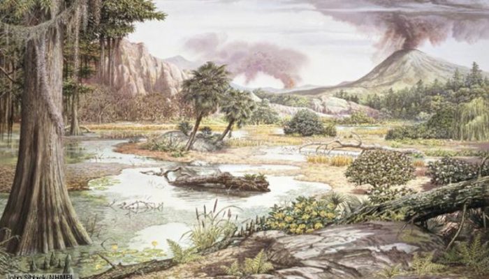 What can the Cretaceous tell us about our climate?