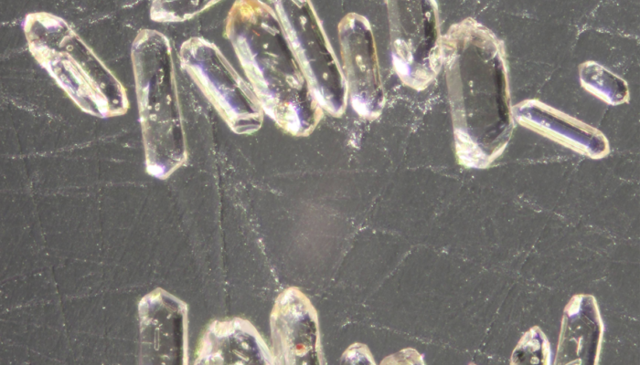 Detrital zircons: how the age of a resistant mineral can help to reconstruct the climate of the past