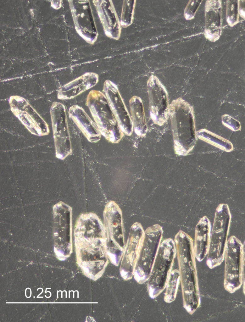 Detrital zircons: how the age of a resistant mineral can help to reconstruct the climate of the past