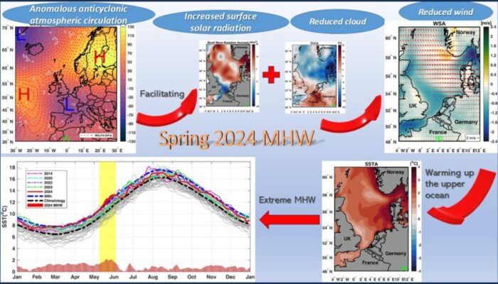 The North Sea Is Heating Up: What Marine Heatwaves Tell Us About Climate Change?