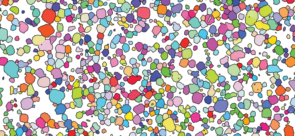 How do crystal aggregates form in magma chambers?