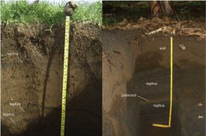 Volcanic Soil (Andisoils)