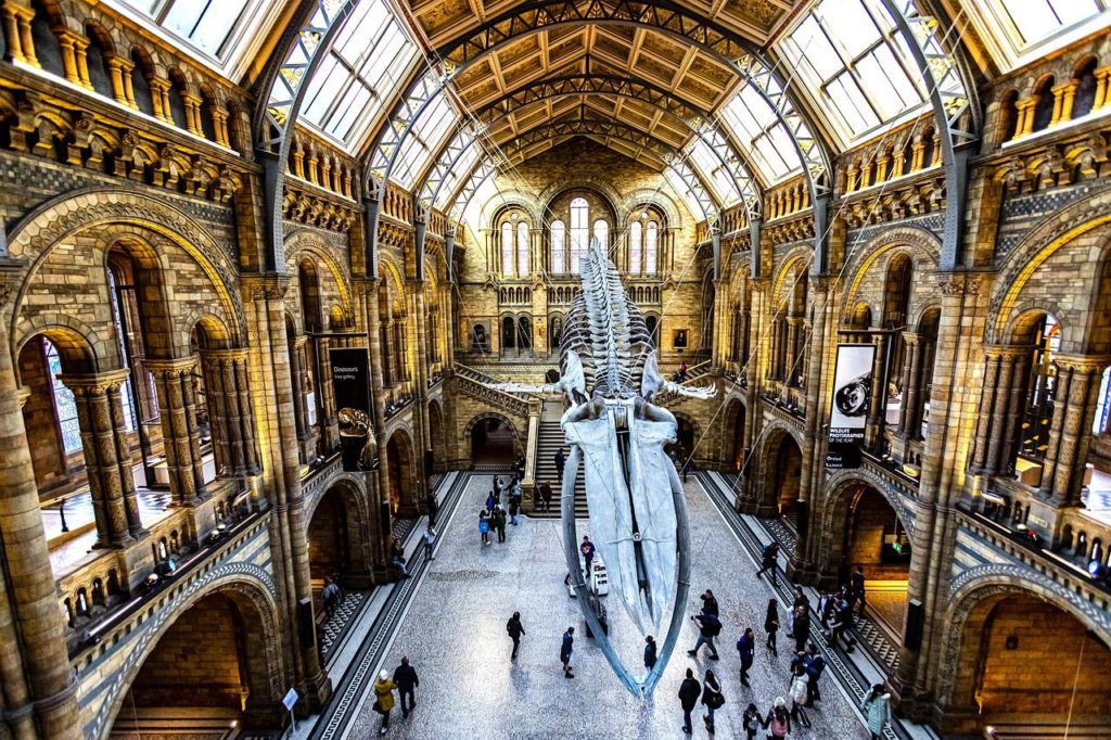 GMPV for Sustainable Development – the role of Museums and Heritage