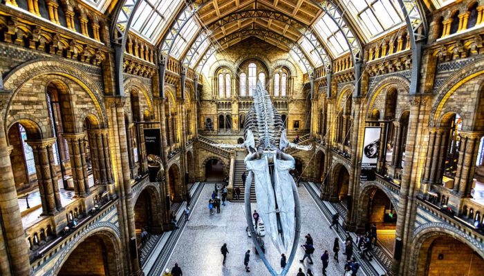 GMPV for Sustainable Development – the role of Museums and Heritage
