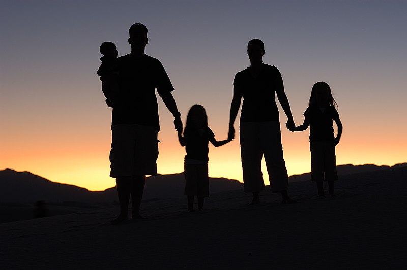Motherhood in Geochemistry, Mineralogy, Petrology & Volcanology Sciences