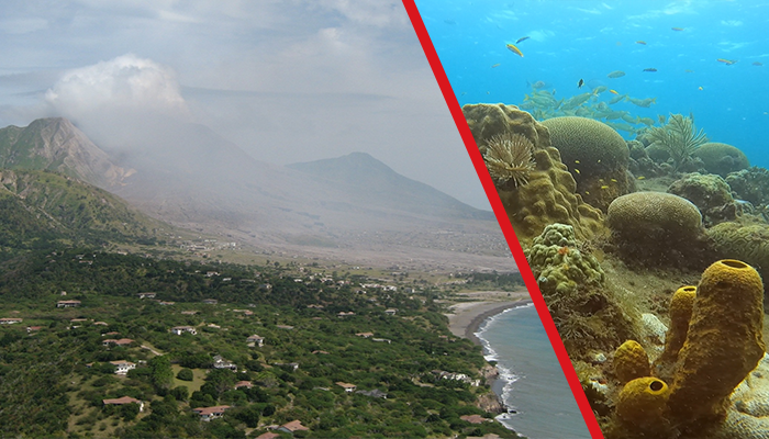 Volcanoes and Corals: a journey to discover volcanic activity as seen from a coral perspective with Prof. Tom Sheldrake