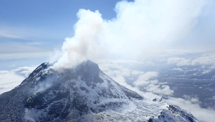 Volcanism, anthropogenic carbon dioxide emissions, and mass extinctions