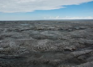 Figure 3: Welcome to the Greenland Ice Sheet everybody. Probably an extreme case of ice covered in cryoconite, captured in August 2014 [Credit: Jason Box, (LINK: http://darksnow.org/)]. 