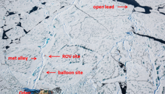 The perfect ice floe