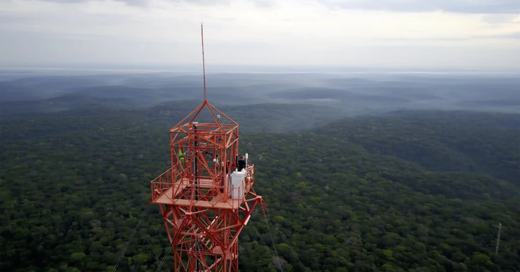 The Invisible Chemistry of Life: Jonathan Williams and the Language of the Air Around Us