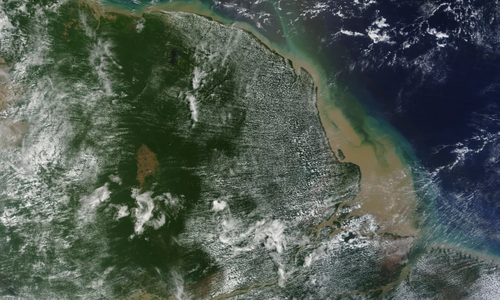 Coffee break biogeosciences – New coral reef at Amazon river mouth discovered