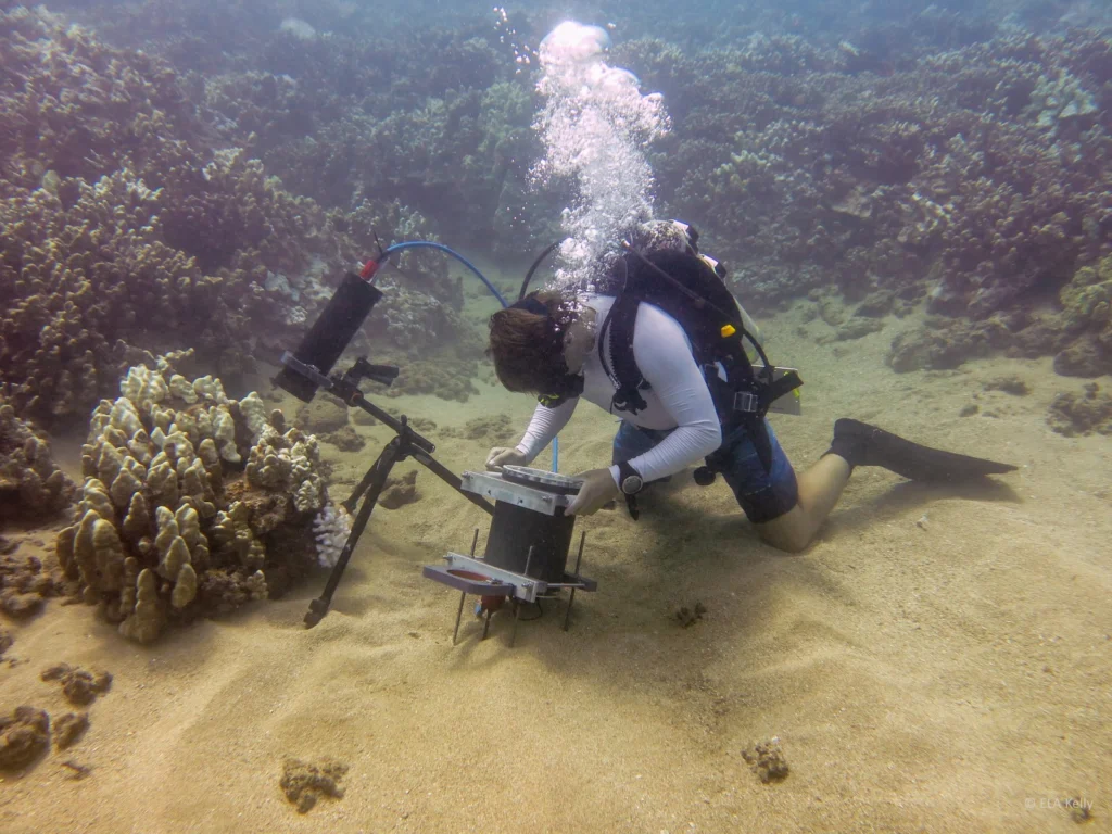 Coffee break biogeosciences–in situ sub-millimeter scale resolution imaging of benthic environments