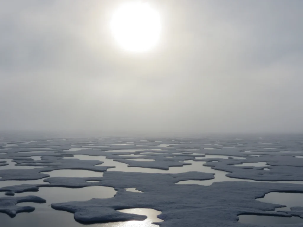 EGU2020 BG Sessions in the spotlight: Biogeosciences’ past achievements and current challenges