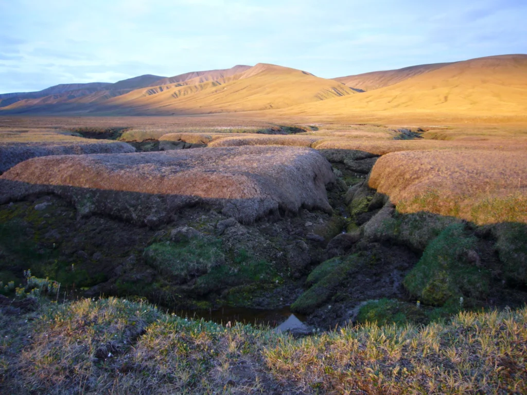 EGU2020 BG Sessions in the spotlight: Permafrost
