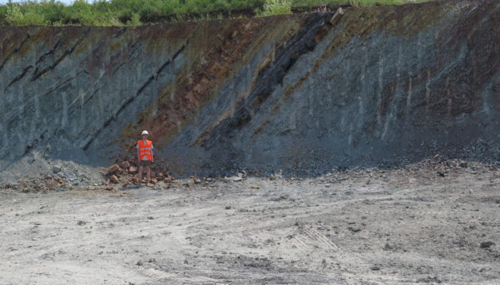 Phosphorus-cycle perturbations and environmental disturbances 380–360 million years ago