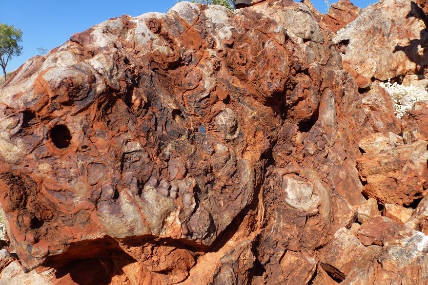 Dating mineral phases in geological remnants of early life