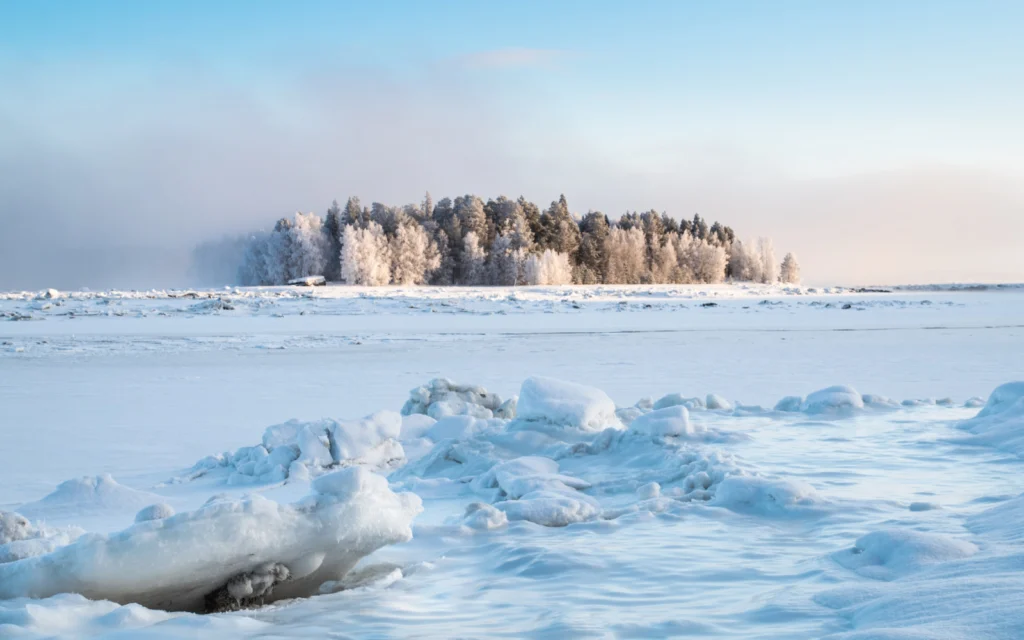 vEGU21 Soils to forest ecosystems sessions in the spotlight