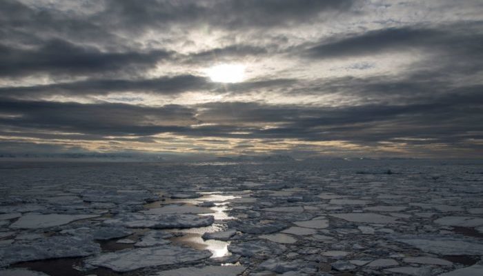 World Ocean Day 2021!