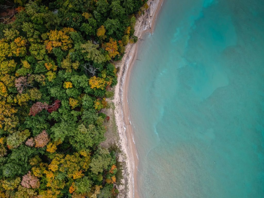 From the forest to the ocean – get to know the new ECS representative team of the Biogeosciences division!