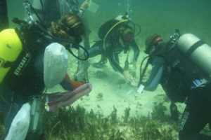 Adina working on the seafloor