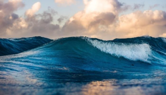 EGU22 in the Spotlight: BG4 – Marine and Aquatic Biogeosciences