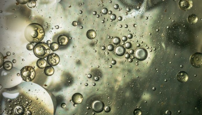 EGU22 in the Spotlight: Extraterrestrial and Extreme Environment Biogeosciences