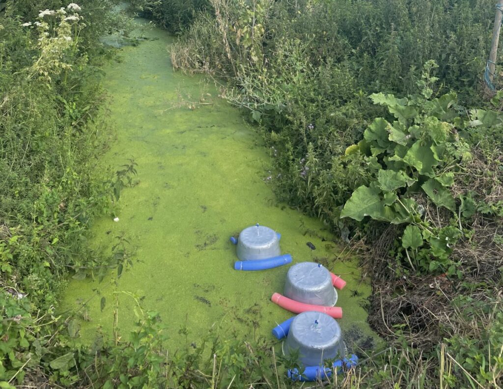 field measurements of greenhouse gas emissions using floating chambers on a agricultural drainage ditch.