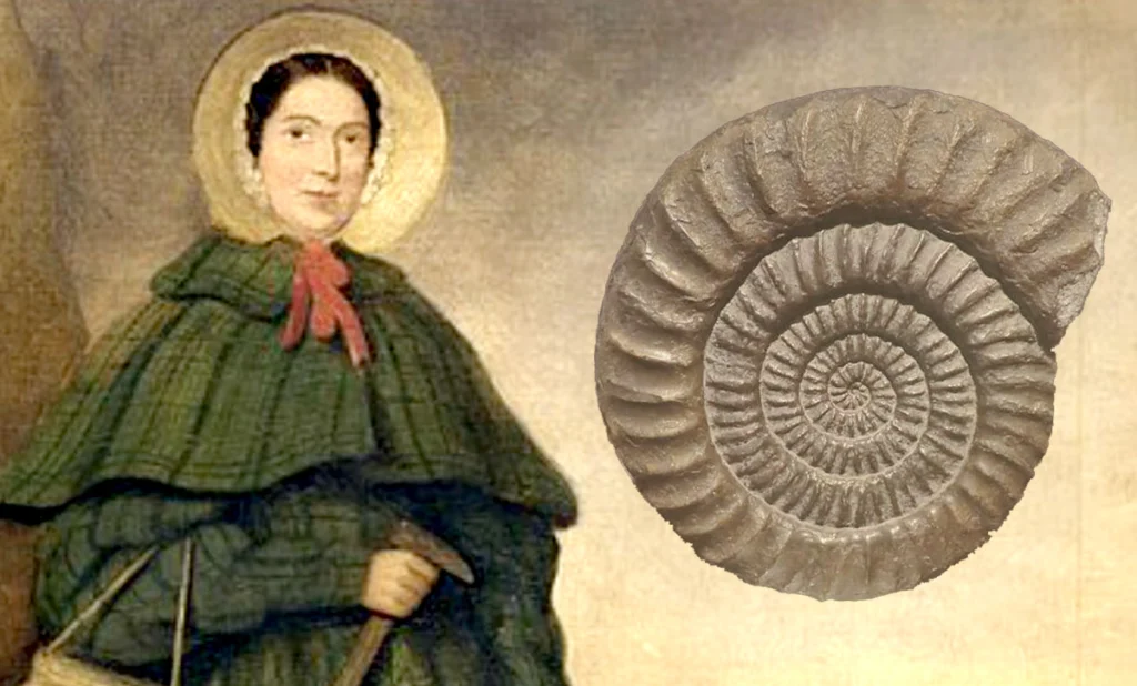 On the Mary Anning Conference Series