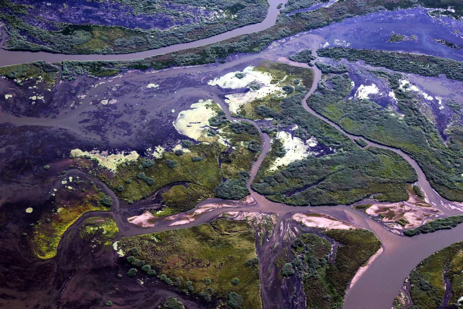 Where the Selenga River meets the Lake Baikal.  Credit:  Galina Shinkareva  (distributed via imaggeo.egu.eu)