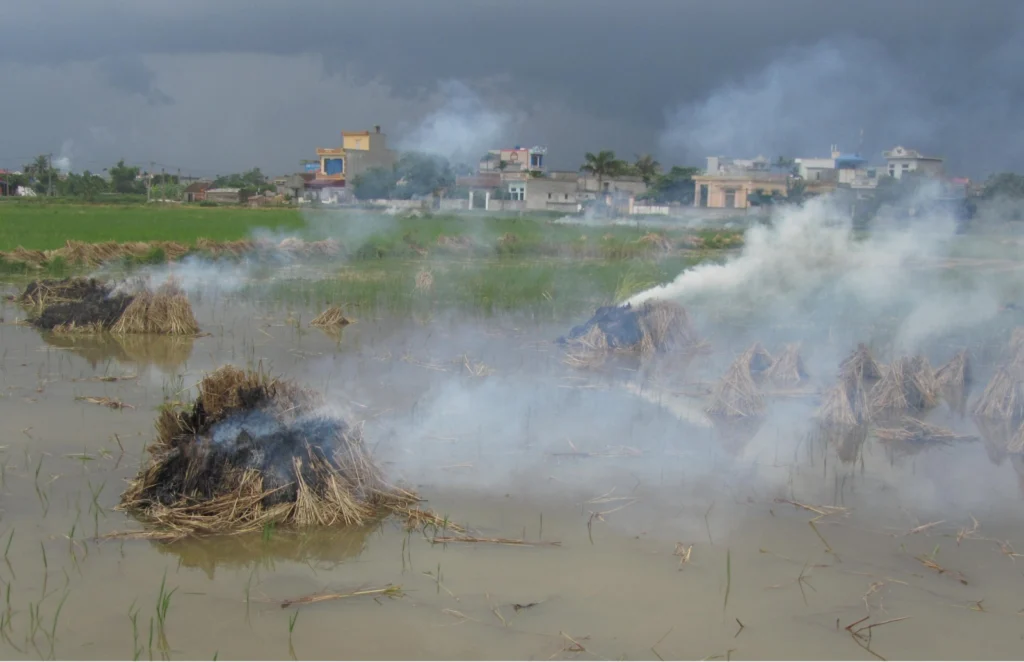 Straw burning