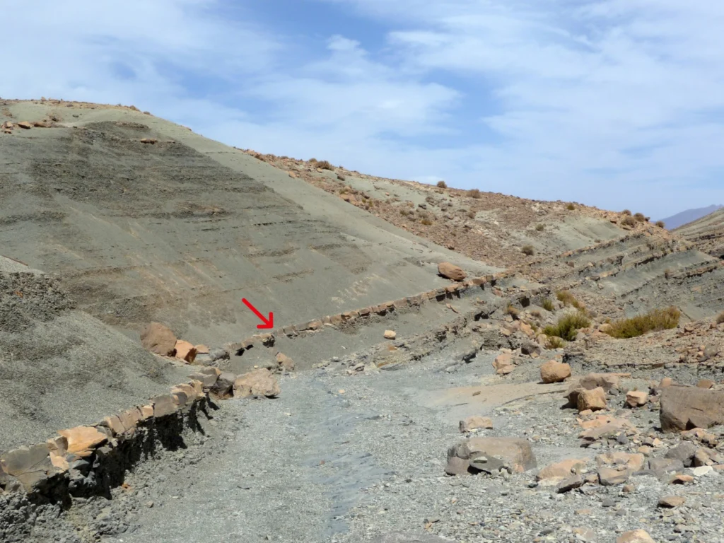 Xenoconformity! Welcome to the new-born in the stratigraphy family