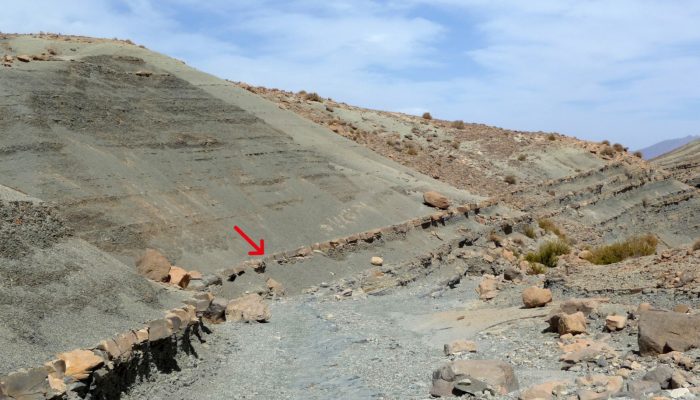 Xenoconformity! Welcome to the new-born in the stratigraphy family