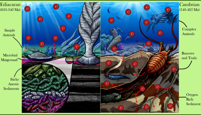 Slimy Landscapes 2: This time it’s Precambrian